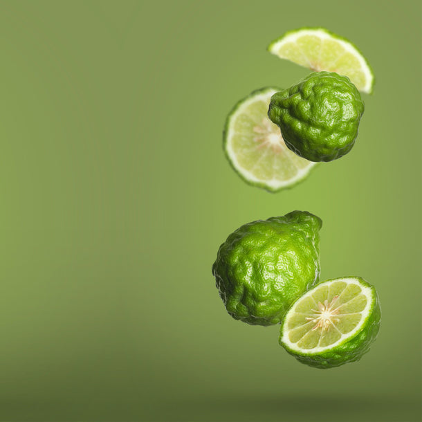 NO. 1301 Fragrance Oil for Soaps & Candles - Inspired by: Bergamote 22 by Le Labo