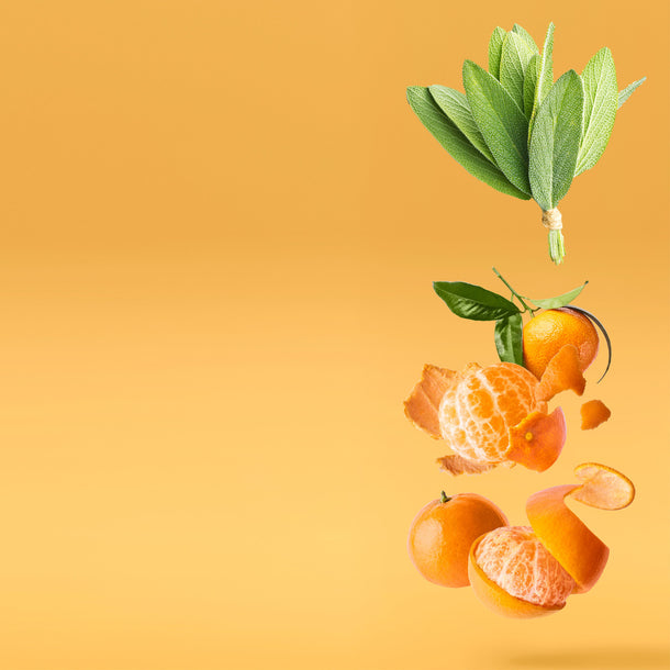 NO. 2100 Fragrance Oil for Soaps & Candles - Inspired by: Breakline by Hollister