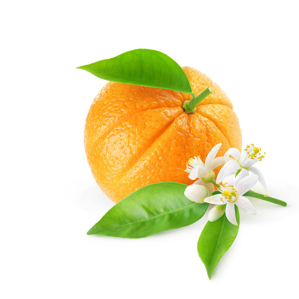 NO. 1204 Fragrance Oil for Cold Air Diffusers - Inspired by: Fleur D'Oranger by Diptyque