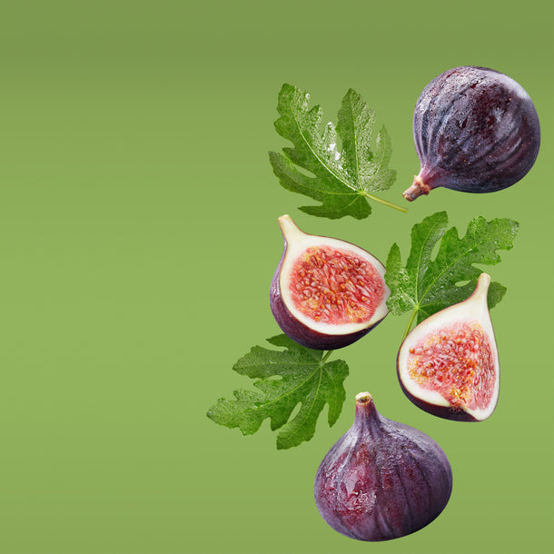 NO. 1206 Fragrance Oil for Soaps & Candles - Inspired by: Philosykos by Diptyque