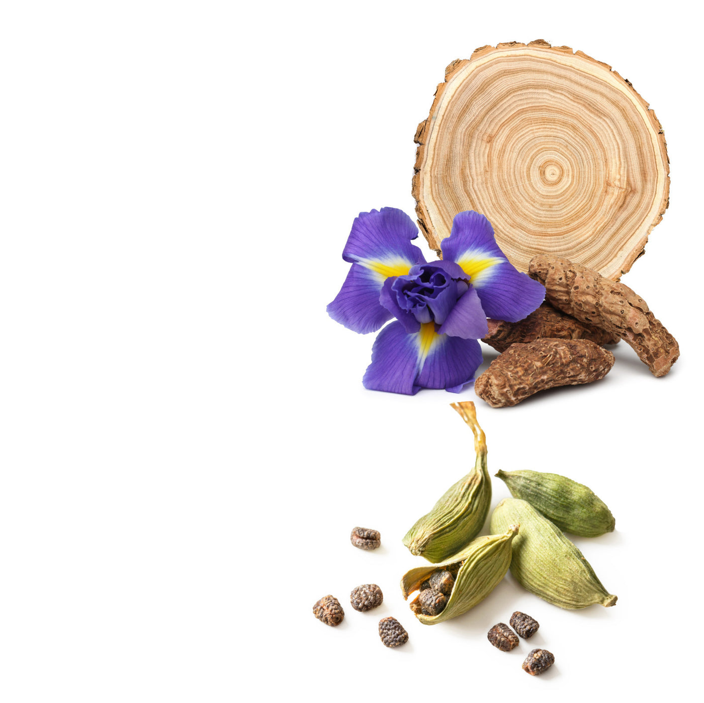 Skin Safe Fragrance Oils