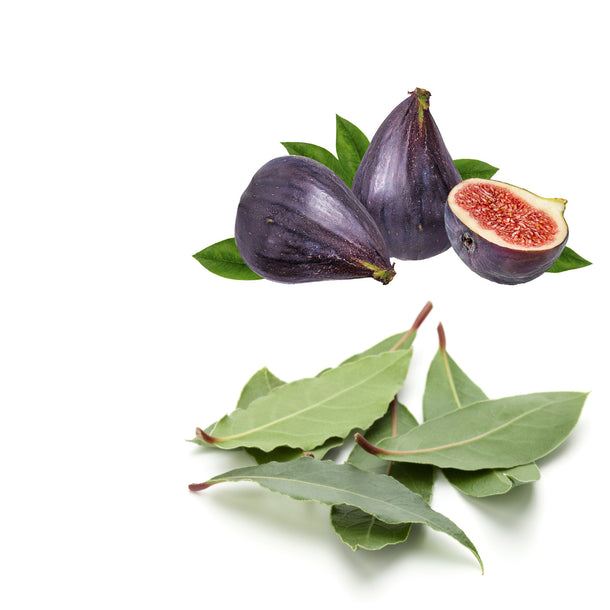 NO. 1305 Fragrance Oil for Cold Air Diffusers - Inspired by: Thé Noir 29 by Le Labo