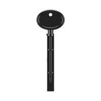 V2 Dynamic BT Plastic Key