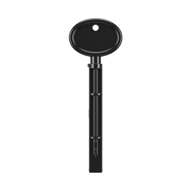 V2 Dynamic BT Plastic Key