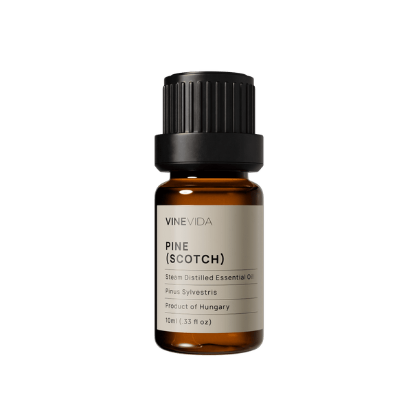 Pine (Scotch) Essential Oil