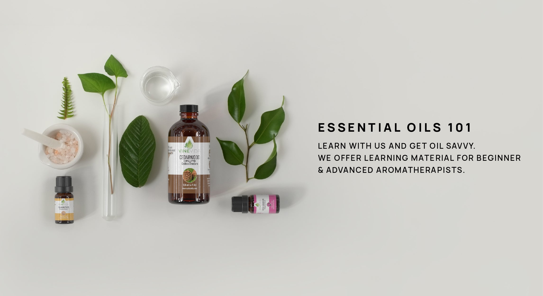 VedaOils - Discover Essential Oils from a Trusted Brand.