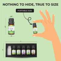 Bright and Breezy Essential Oil Set