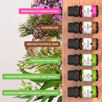 Sniffle Essential Oil Set