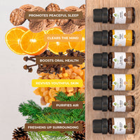 Winter Holiday Essential Oil Set