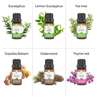 Sniffle Essential Oil Set
