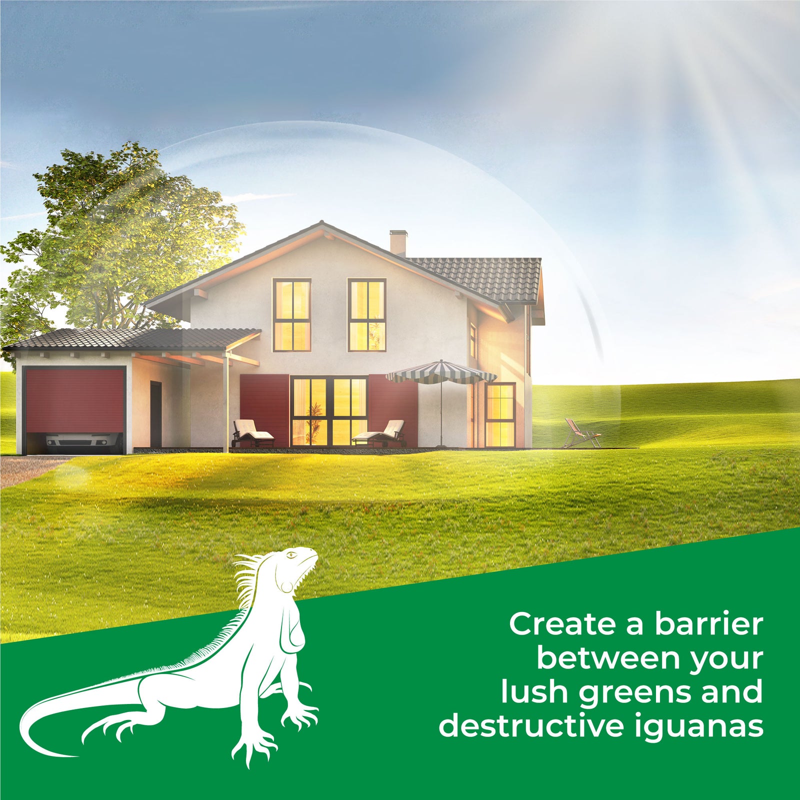 Iguana Repellent