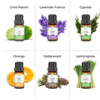 Bright and Breezy Essential Oil Set