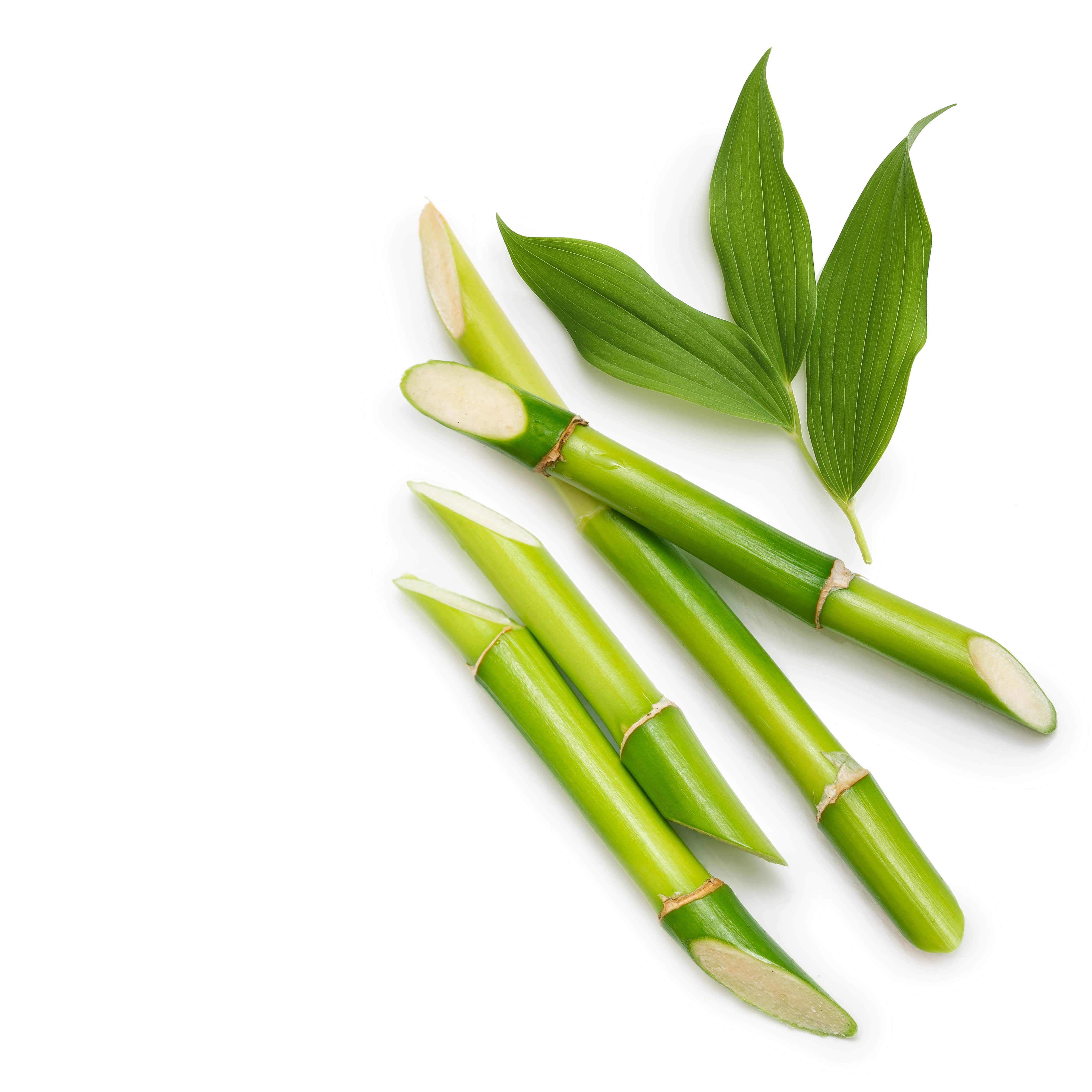 NO. 4 Fragrance Oil for Soaps & Candles - Bamboo Garden