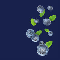 NO. 13 Fragrance Oil for Soaps & Candles - Blueberry Cobbler