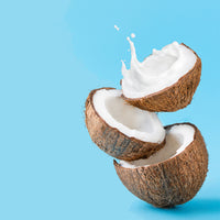 NO. 27 Fragrance Oil for Cold Air Diffusers - Coconut Cream