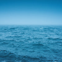 NO. 56 Fragrance Oil for Soaps & Candles - Ocean Rain