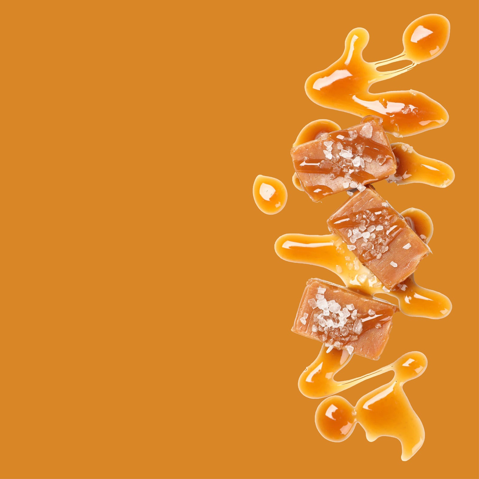 NO. 1117 Fragrance Oil for Soaps & Candles - Inspired by: Salted Caramel by Bath & Body Works