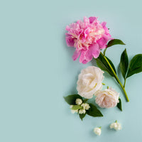 NO. 1107 Fragrance Oil for Soaps & Candles - Inspired by: Cashmere Glow by Bath & Body Works
