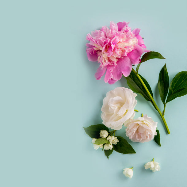 NO. 1107 Fragrance Oil for Cold Air Diffusers - Inspired by: Cashmere Glow by Bath & Body Works