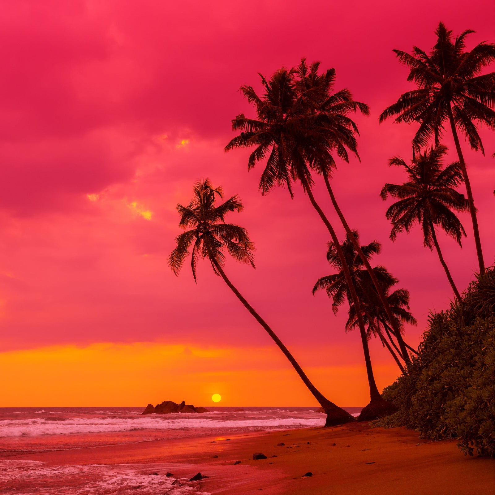 NO. 41 Fragrance Oil for Soaps & Candles - Hawaiian Sunrise