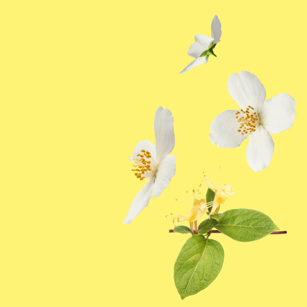 NO. 43 Fragrance Oil for Cold Air Diffusers - Honeysuckle & Jasmine