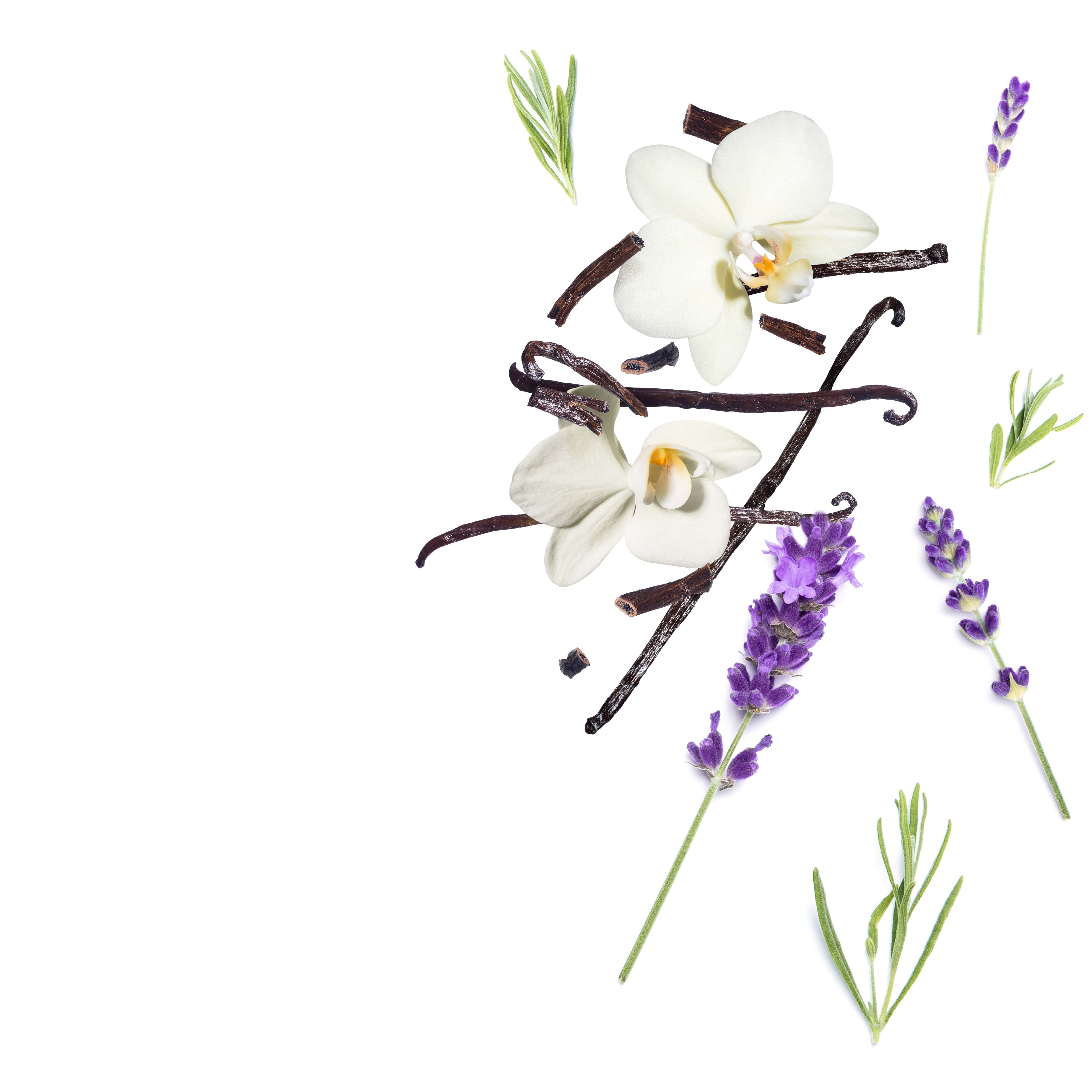 Scent Diffusers & Aroma Oils - Products - Lavender Vanilla Aroma