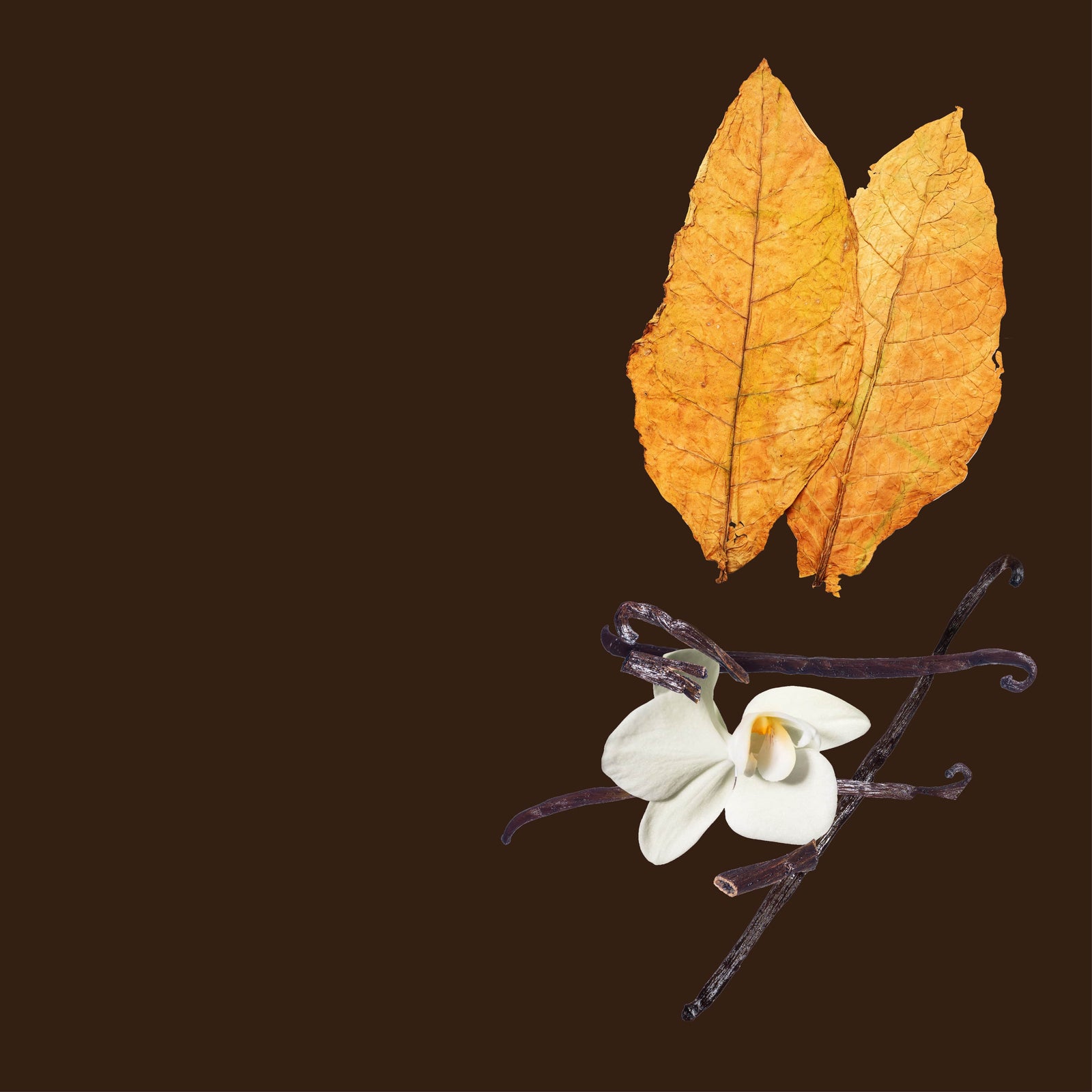 NO. 3100 Fragrance Oil for Soaps & Candles - Inspired by: Tobacco Vanille by Tom Ford