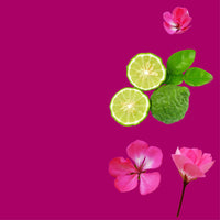 NO. 3300 Fragrance Oil for Cold Air Diffusers - Inspired by: Acqua Di Gio by Giorgio Armani