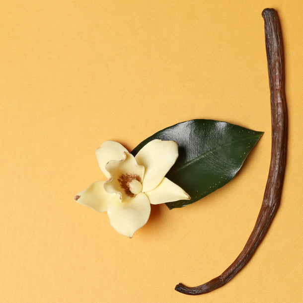 NO. 70 Fragrance Oil for Cold Air Diffusers - Vanilla Odor Eliminator