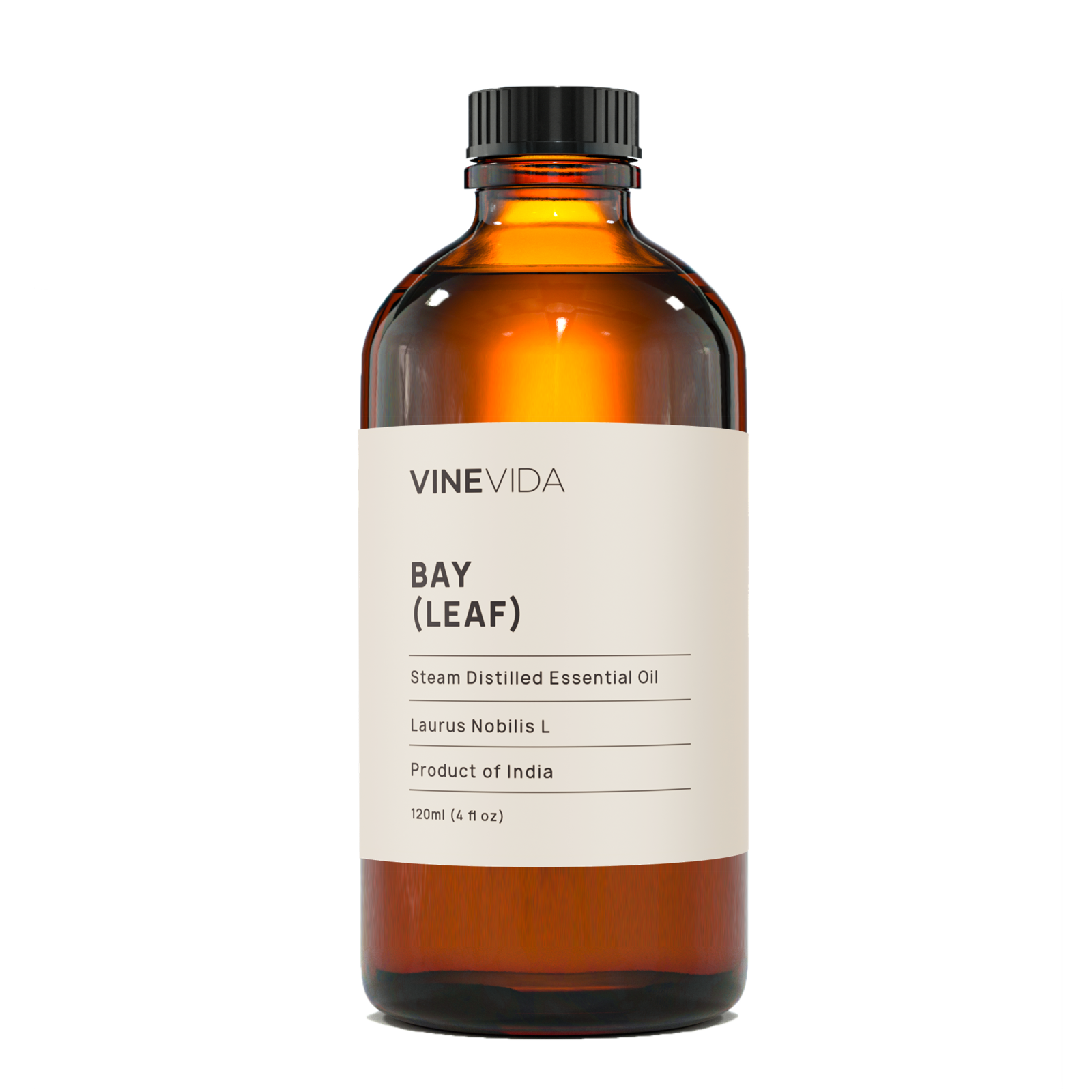 Bay (Leaf) Essential Oil