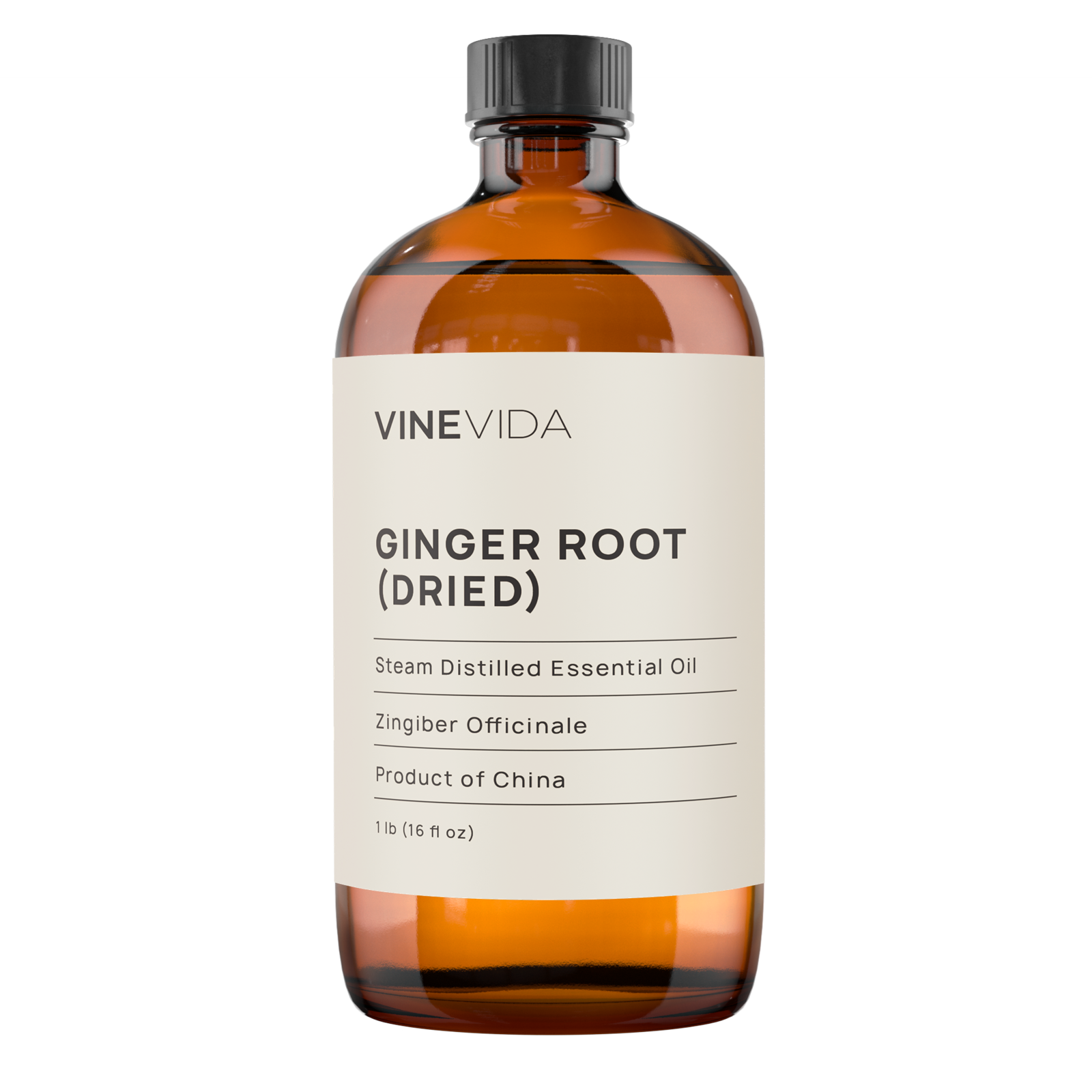 Ginger Root Essential Oil (Dried)
