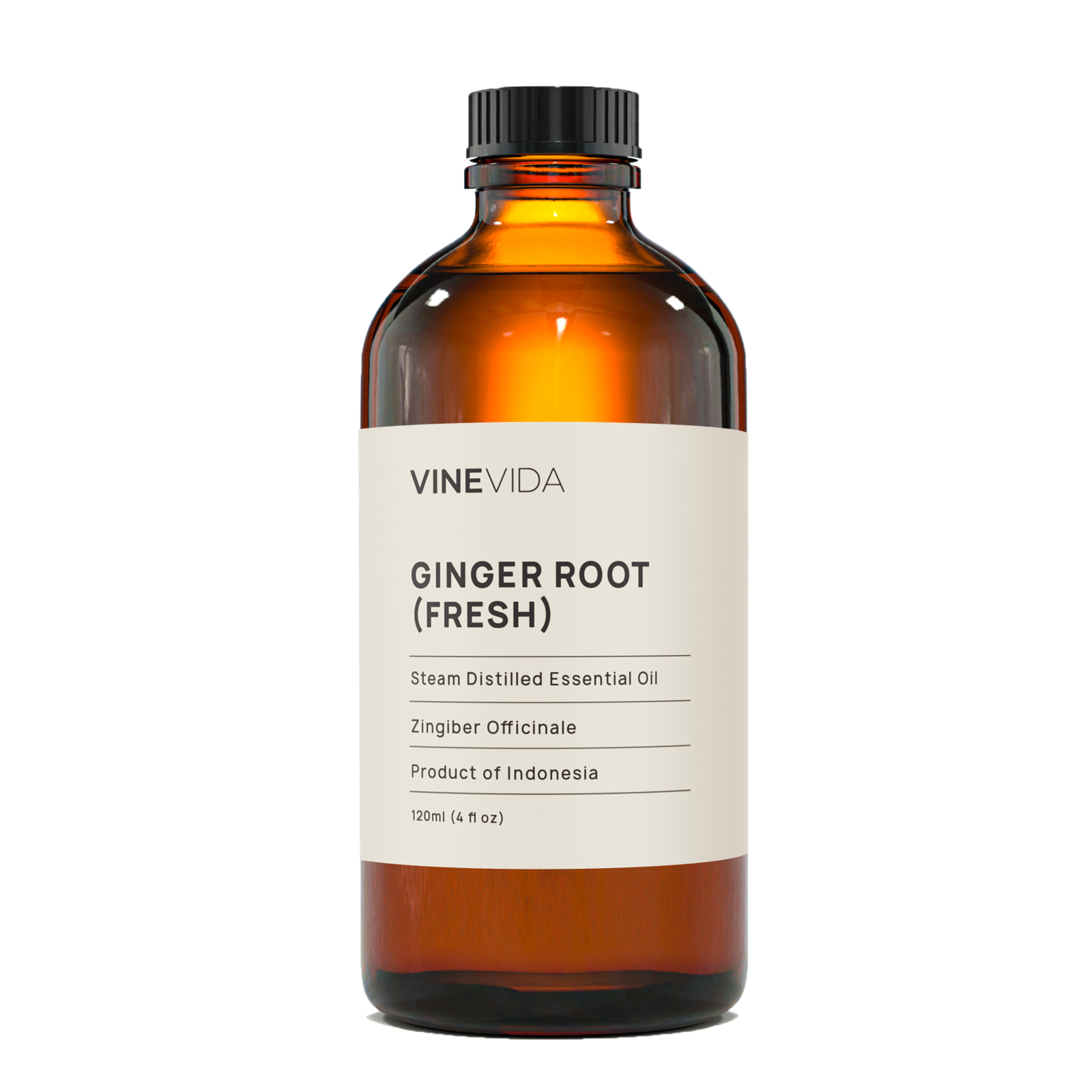 Ginger Root Essential Oil (Fresh)