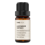 Lavender (Spike) Essential Oil