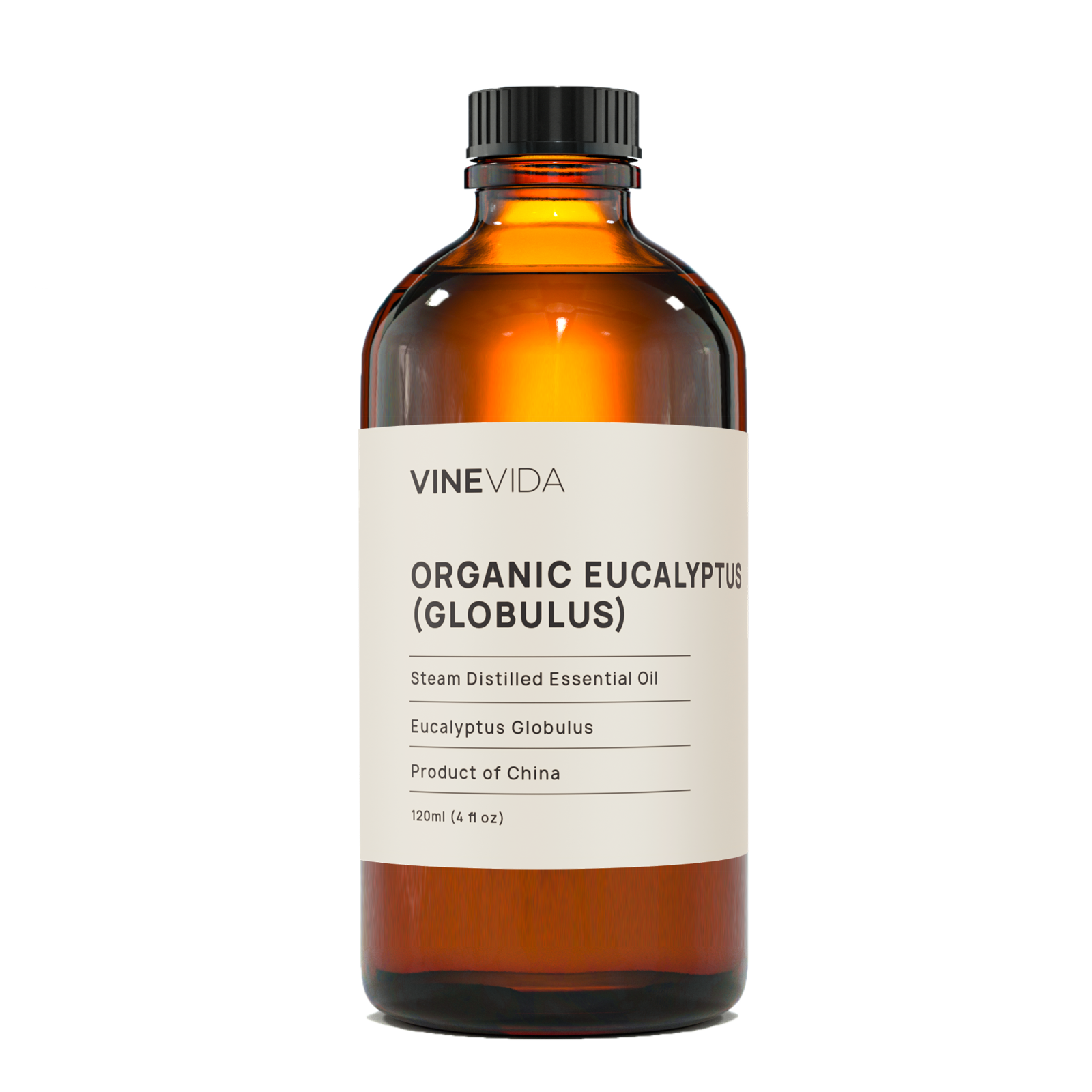 Organic Eucalyptus Essential Oil (Globulus)