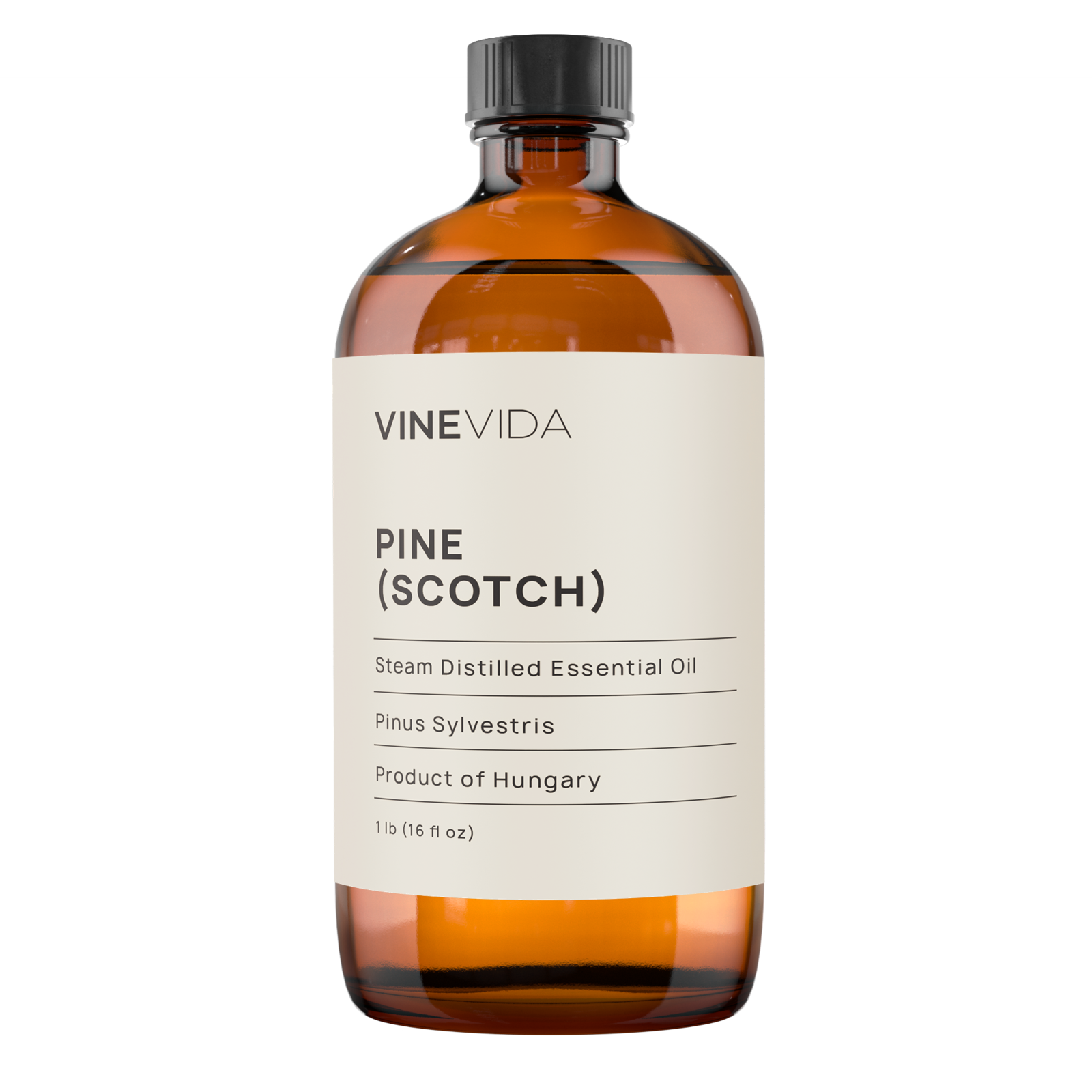 Scotch Pine Essential Oil