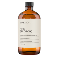 Pine (Scotch) Essential Oil