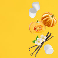 NO. 1119 Fragrance Oil for Soaps & Candles - Inspired by: Vanilla Pumpkin Marshmallow by Bath & Body Works